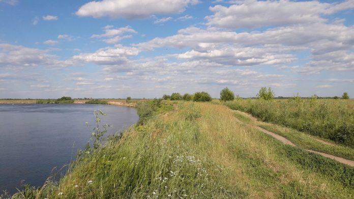 погода лето