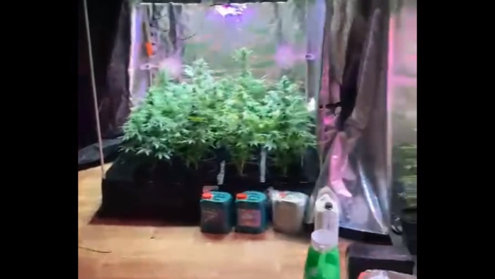 заставка3333