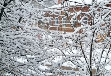 В Касимовском округе за ночь выпало 15 сантиметров снега