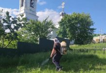 В Касимовском округе борются с борщевиком