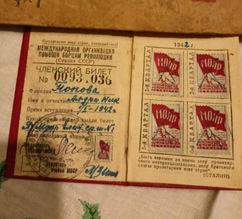 photo 5238120128720262706 y